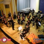 Orkester Akord
