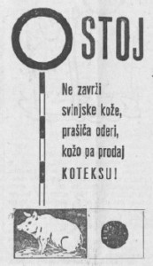 1959.02.06 - Celjski tednik - Na zavrzi svinjske koze