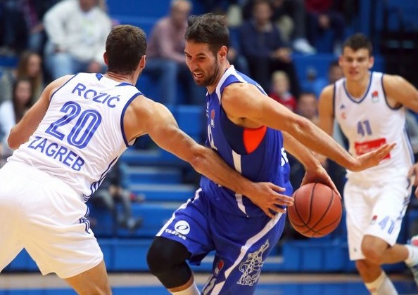 cebular cibona 2015