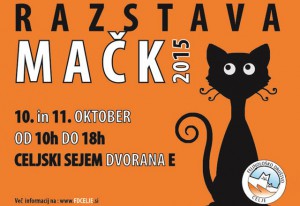 razstava-mack-celje