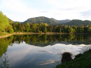 Jezero Vrbje razkriva prav poseben ekosistem. 