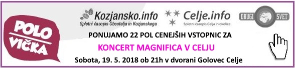 magnifico-celje-polsi-klik