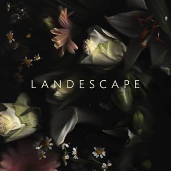 landescape_2