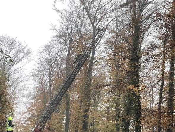 veja_avtolestev_november_2018_1