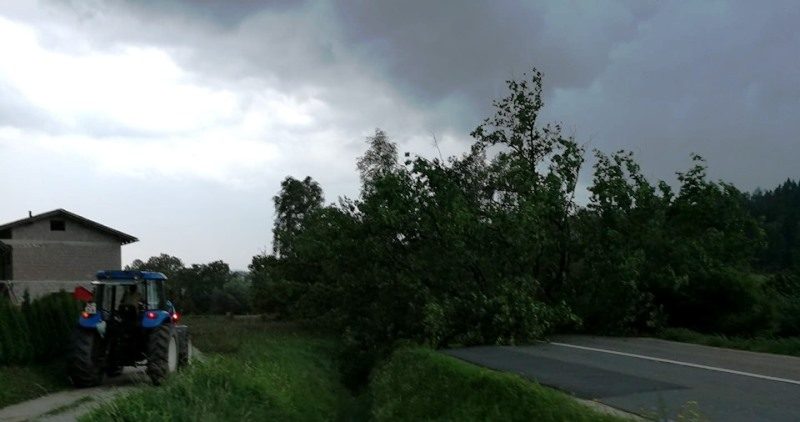 podrto_drevo_visnja_vas_2019_julij