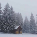 Prvi sneg na Rogli in Golteh