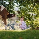 Mleko s hribovskih kmetij je del evropske identitete