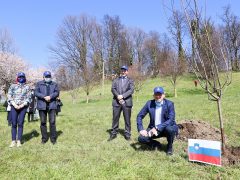 Sadna drevesa, župan in predstavnik Uefe