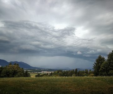 slovenske konjice denis sodrznik