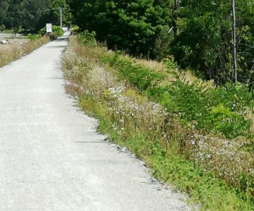 Celjsko podjetje Nivo Eko je gradbene odpadke odlagalo in zakopavalo v neposredni bližini obrežja reke Savinje (foto: občan)