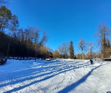 Zasnežen Mestni park Celje (foto: Celje.info)