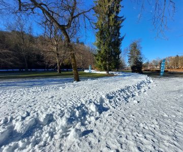 Proga za smučarski tek v Mestnem parku Celje (foto: Celje.info)