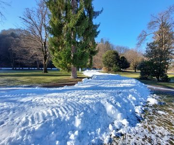 Proga za smučarski tek v Mestnem parku Celje (foto: Celje.info)