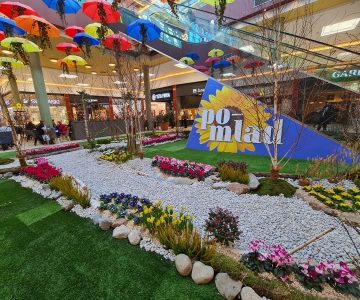 Cvetni aranžmaji in pisani dežniki ustvarjajo vesel pomladni ambient v nakupovalnem središču (foto: Citycenter Celje)
