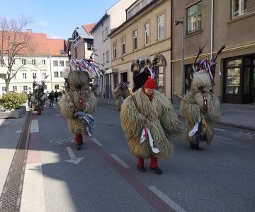 Kurenti na ulicah Celja (foto: MOC)