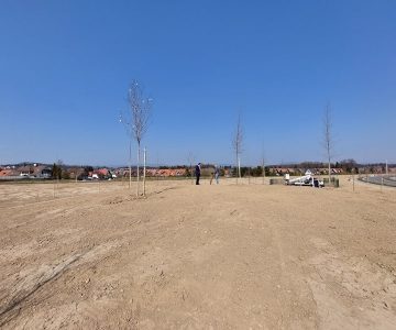 Park drevesCE (foto Celje.info)