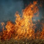 Razglašena velika požarna ogroženost naravnega okolja
