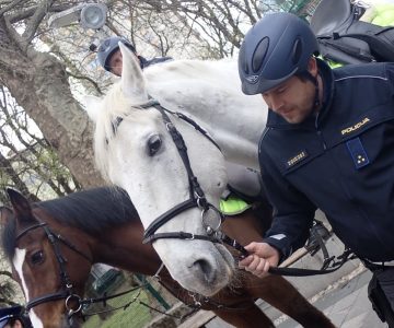 Predstavitev javnih služb pred I. gimnazijo v Celju (8)