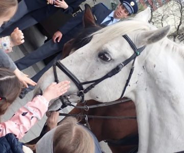 Predstavitev javnih služb pred I. gimnazijo v Celju (9)