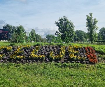 dirka Po Sloveniji 2022 Celje (foto MOC) – 1