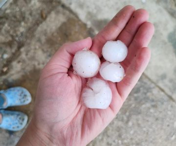 Žusem, Foto Karmen Volf