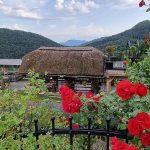 Zlata vrtnica turistični kmetiji Razgoršek, metla vsem, ki ‘svinjajo’ po mestu (foto)