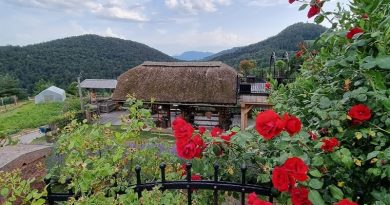 Zlata vrtnica turistični kmetiji Razgoršek, metla vsem, ki ‘svinjajo’ po mestu (foto) Zlata vrtnica turistični kmetiji Razgoršek, metla vsem, ki ‘svinjajo’ po mestu (foto)