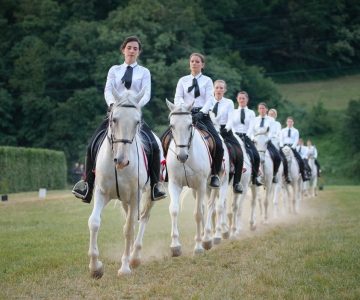 Foto promocijska skupina na lipicanskih konjih