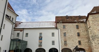 V Pokrajinskem muzeju Celje minulo leto gostili 25 tisoč ljudi, smeli načrti za 2023 V Pokrajinskem muzeju Celje minulo leto gostili 25 tisoč ljudi, smeli načrti za 2023