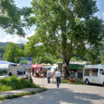 Svinjski sejem je doživetje. (Foto: MK, Celje.info)