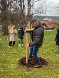 PONI-sajenje drevesa (Foto:Celje.info)